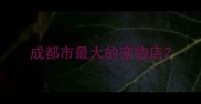成都市最大的宠物店
