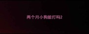 两个月小狗能打吗