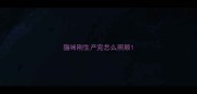 猫咪刚生产完怎么照顾