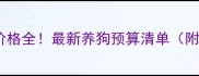 泰迪公犬价格全最新养狗预算清单附避坑指南