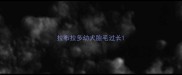 拉布拉多幼犬胎毛过长