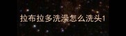 拉布拉多洗澡怎么洗头