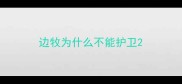 边牧为什么不能护卫