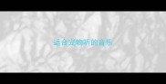 适合宠物听的音乐