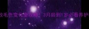 边牧毛色变化全攻略3月龄到1岁必看养护指南