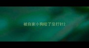 被自家小狗咬了没打针