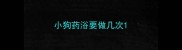 小狗药浴要做几次