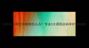 拉布拉多尾巴夹臀部怎么办专业5大诱因及科学护理指南