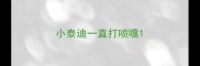 小泰迪一直打喷嚏
