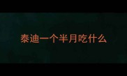 泰迪一个半月吃什么