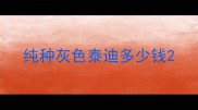 纯种灰色泰迪多少钱