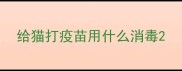 给猫打疫苗用什么消毒