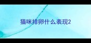猫咪排卵什么表现
