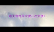 哈士奇每天大便几次大便