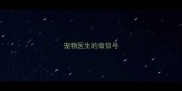 宠物医生的微信号