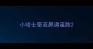 小哈士奇流鼻涕流脓