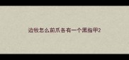 边牧怎么前爪各有一个黑指甲