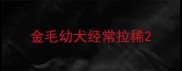 金毛幼犬经常拉稀