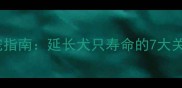 狗狗寿命有多长科学养宠指南延长犬只寿命的7大关键因素附品种对照表
