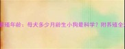 狗狗最佳繁殖年龄母犬多少月龄生小狗最科学附养殖全流程指南