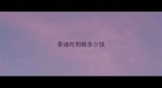 泰迪吃狗粮多少钱