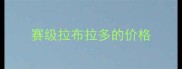 赛级拉布拉多的价格