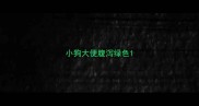 小狗大便腹泻绿色