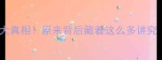 泰迪剪尾巴的5大真相原来背后藏着这么多讲究附修剪指南