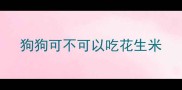 狗狗可不可以吃花生米