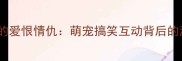宠物日常哈士奇与猫咪的爱恨情仇萌宠搞笑互动背后的温情故事附养宠指南