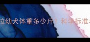 三个月大的阿拉幼犬体重多少斤科学标准与饲养指南全