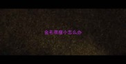 金毛很瘦小怎么办
