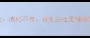 狗狗便便异常颗粒全消化不良寄生虫还是健康隐患科学应对指南