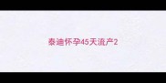 泰迪怀孕45天流产