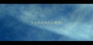三个月的狗怎么喂养
