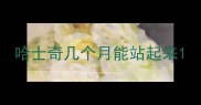 哈士奇几个月能站起来
