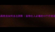 泰迪离世后如何走出阴影宠物主人必看的10个疗愈指南