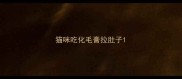 猫咪吃化毛膏拉肚子