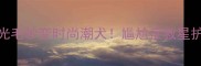 金毛剃光毛秒变时尚潮犬尴尬症救星护理全攻略