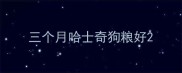 三个月哈士奇狗粮好