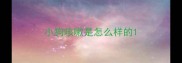 小狗咳嗽是怎么样的