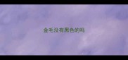 金毛没有黑色的吗
