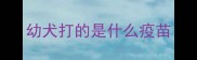 幼犬打的是什么疫苗
