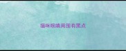 猫咪眼睛周围有黑点