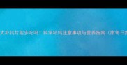 拉布拉多犬补钙片能多吃吗科学补钙注意事项与营养指南附每日推荐量