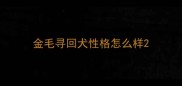 金毛寻回犬性格怎么样