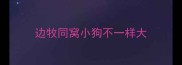 边牧同窝小狗不一样大