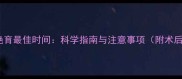边牧公狗绝育最佳时间科学指南与注意事项附术后护理全