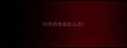 20天的泰迪怎么养