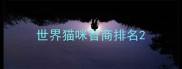 世界猫咪智商排名